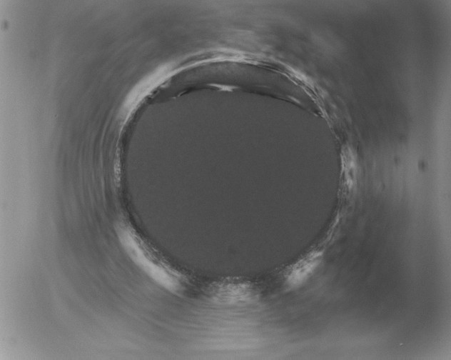 X0000052980247200507221335