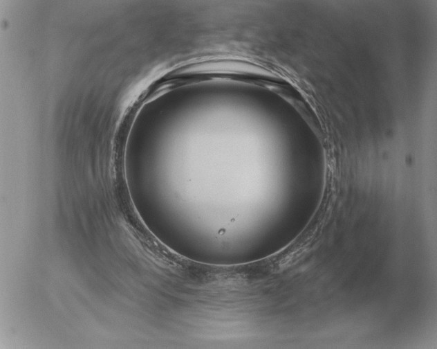 X0000052980248200507221335