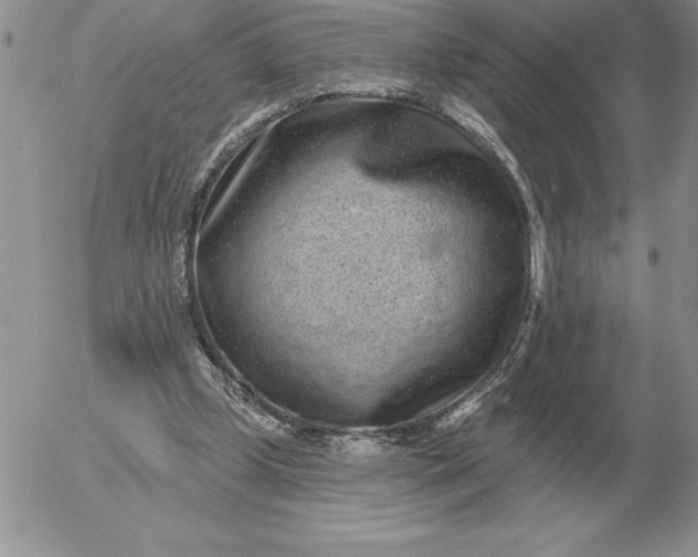 X0000052980249200507221335