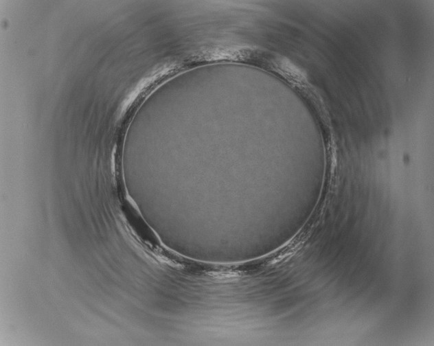 X0000052980250200507221335