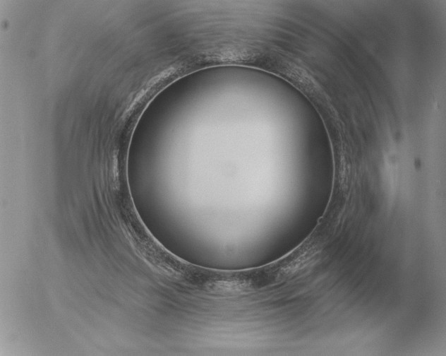 X0000052980251200507221335