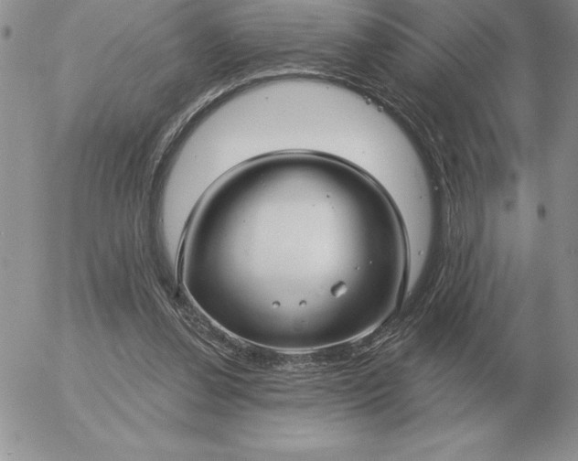 X0000052980252200507221335