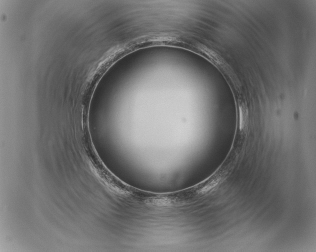 X0000052980253200507221335