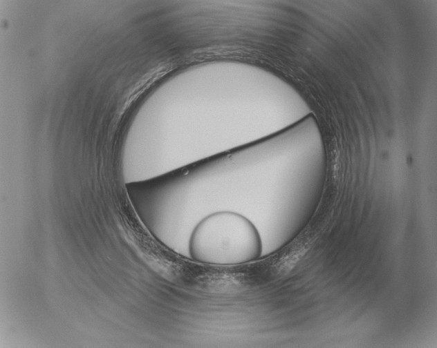 X0000052980254200507221335