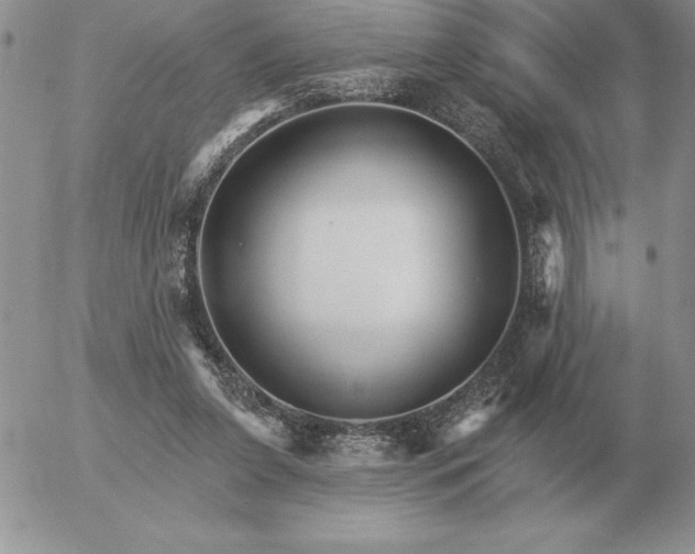 X0000052980255200507221335