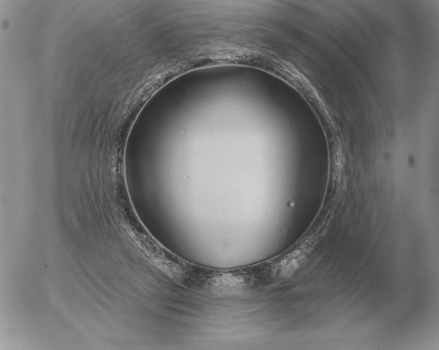 X0000052980257200507221335