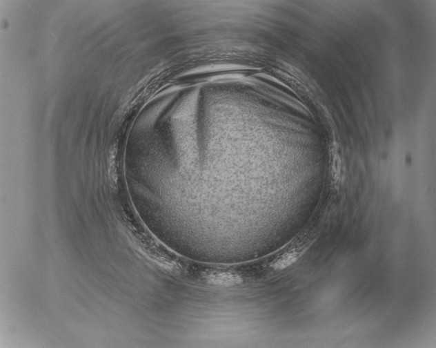 X0000052980258200507221335