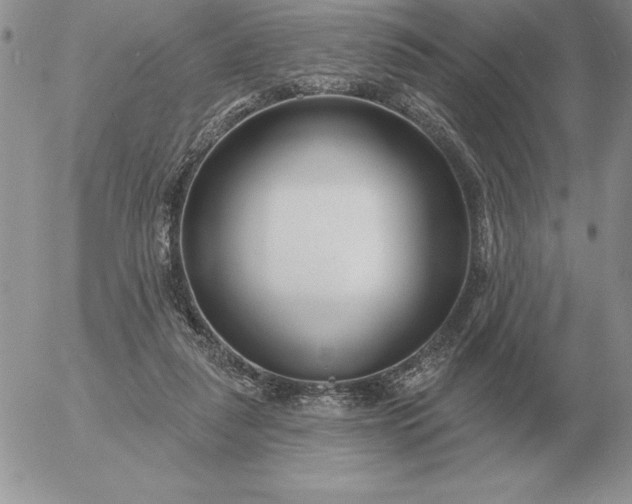 X0000052980259200507221335