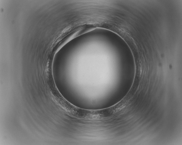 X0000052980260200507221335