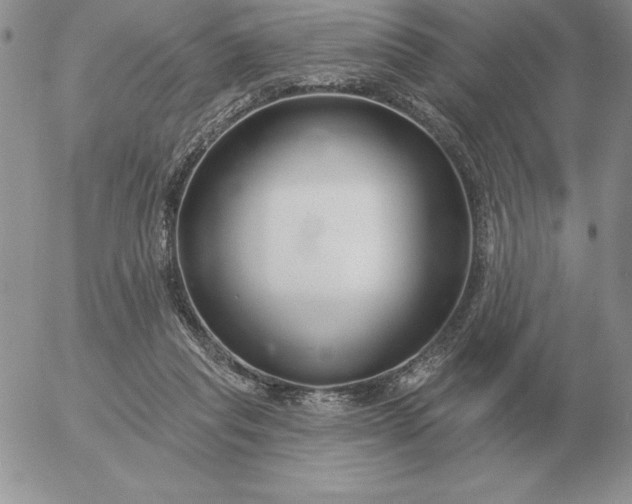 X0000052980261200507221335