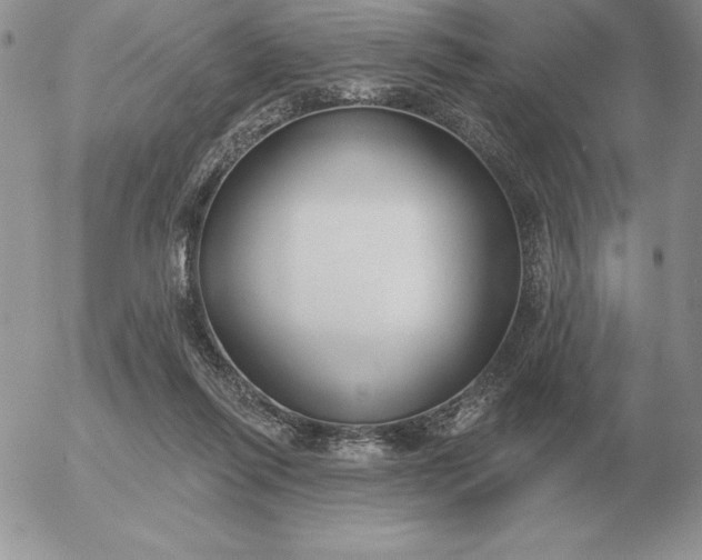 X0000052980262200507221335