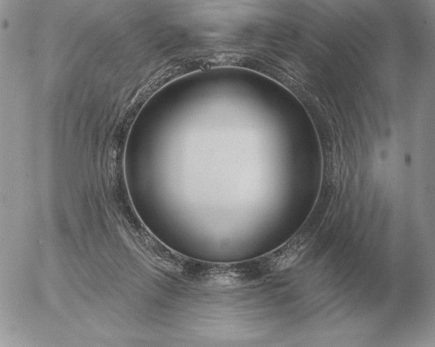 X0000052980263200507221335