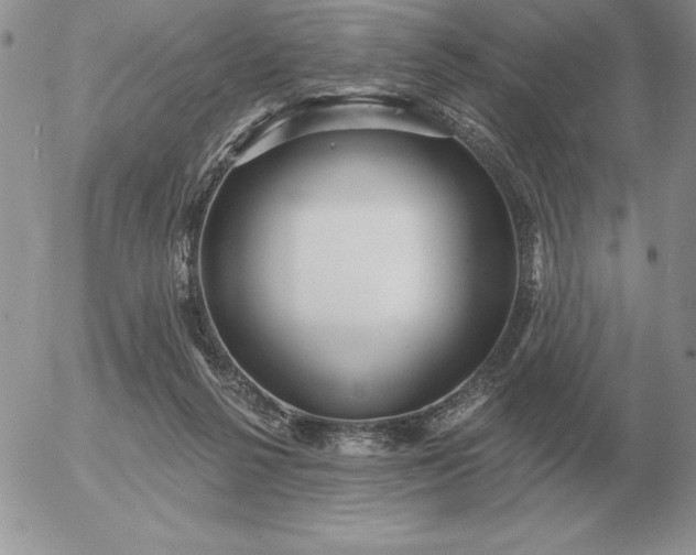 X0000052980264200507221335