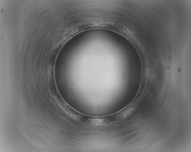 X0000052980265200507221335