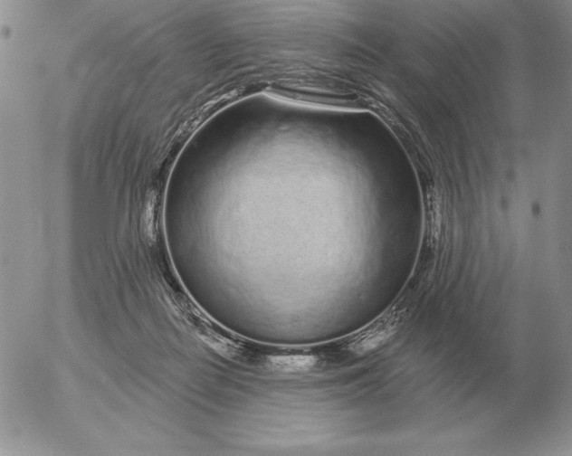 X0000052980266200507221335