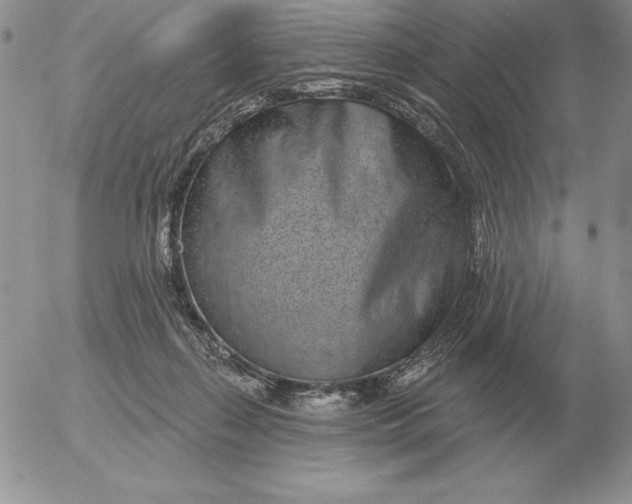 X0000052980267200507221335