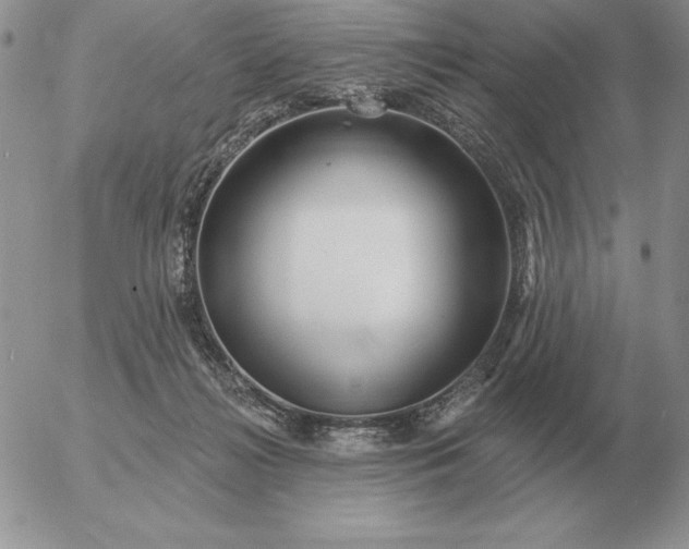 X0000052980268200507221335