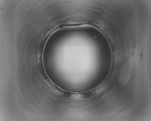 X0000052980269200507221335