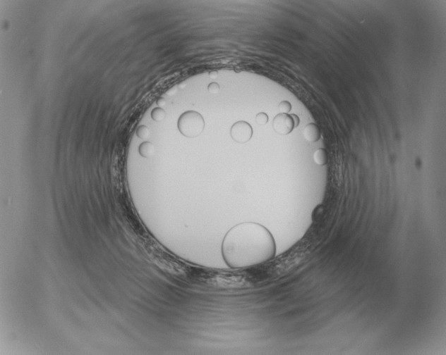 X0000052980270200507221335