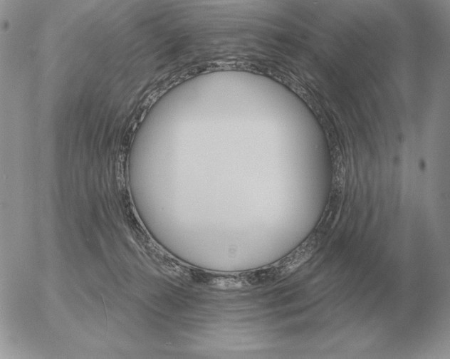 X0000052980272200507221335