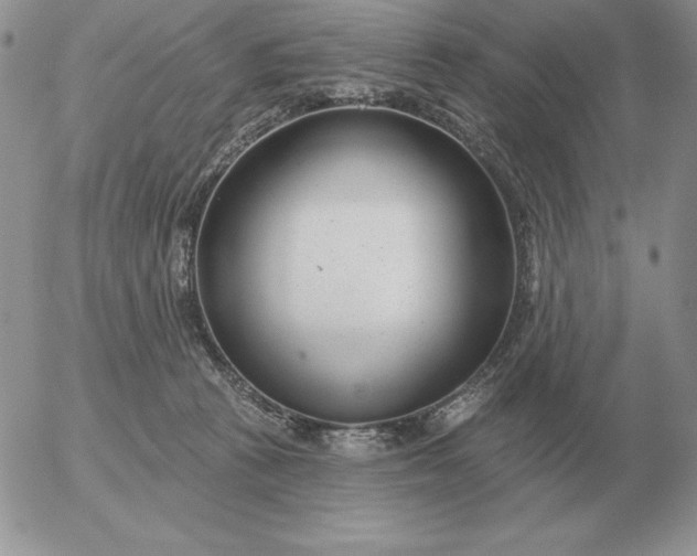 X0000052980273200507221335