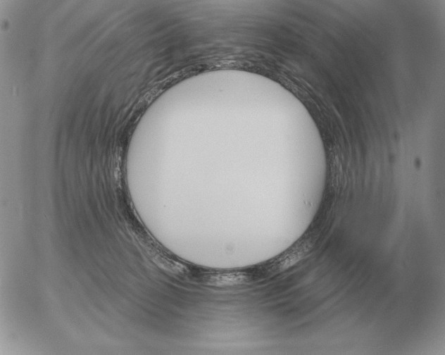 X0000052980274200507221335