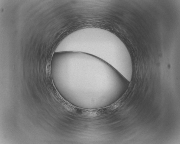 X0000052980276200507221335