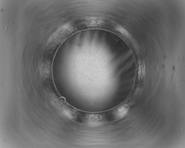 X0000052980277200507221335