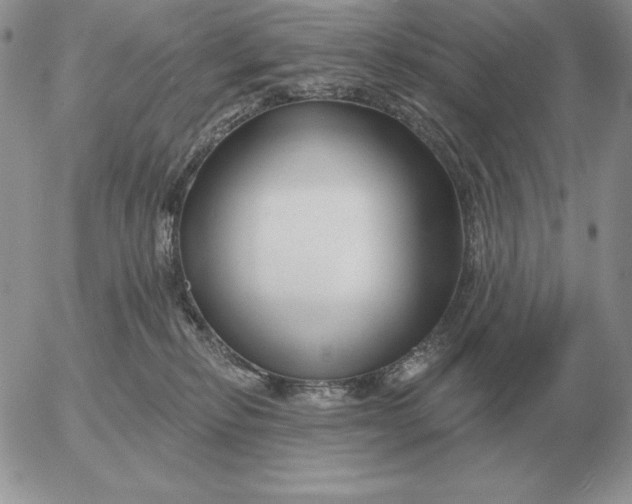 X0000052980278200507221335