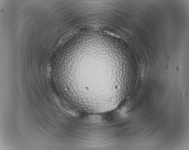 X0000052980279200507221335