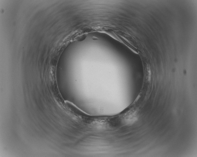 X0000052980280200507221335