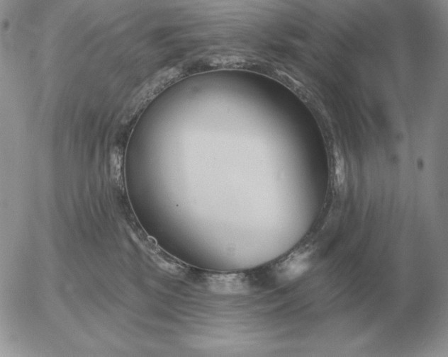 X0000052980281200507221335