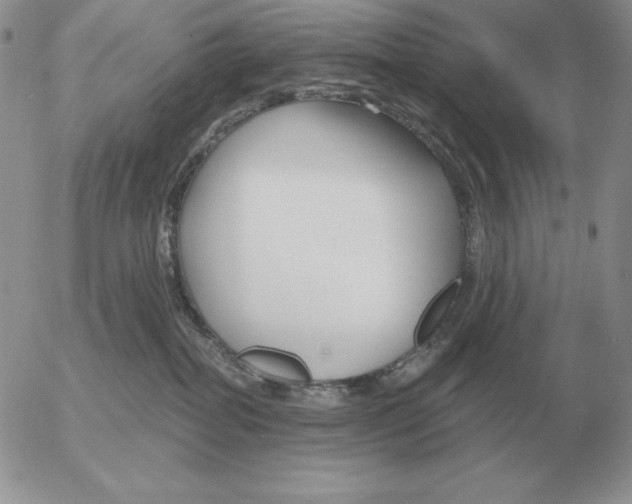 X0000052980282200507221335