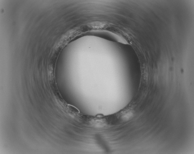 X0000052980283200507221335