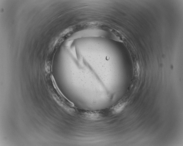 X0000052980284200507221335