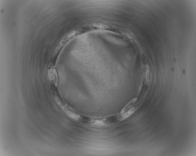 X0000052980285200507221335