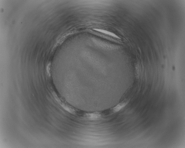 X0000052980286200507221335