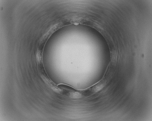 X0000052980287200507221335