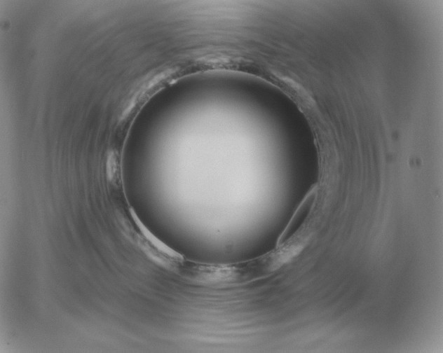 X0000052980288200507221335