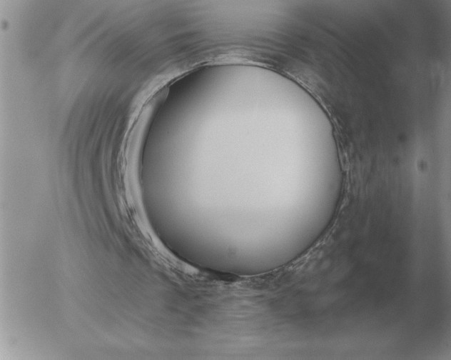 X0000052980289200507221334