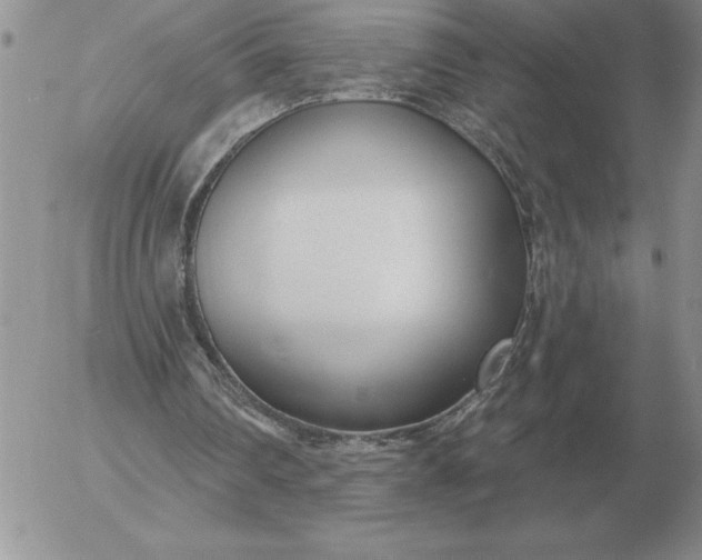 X0000052980290200507221334