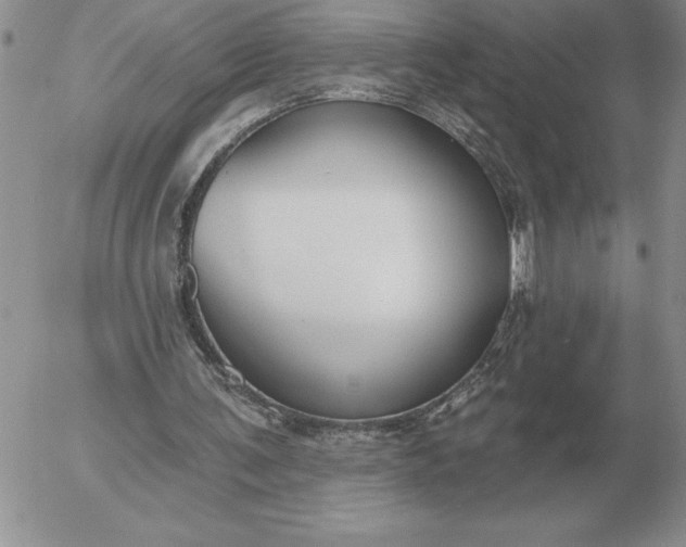 X0000052980291200507221334