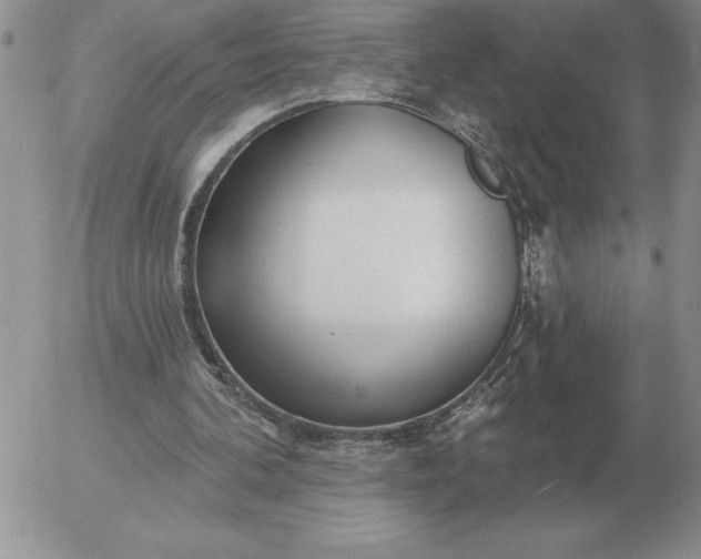 X0000052980292200507221334