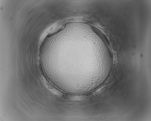 X0000052980293200507221334