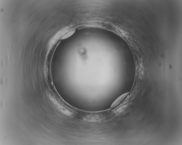 X0000052980294200507221334