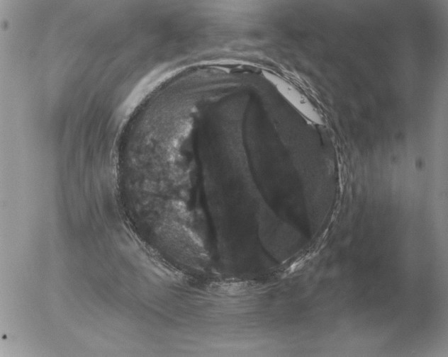 X0000052980295200507221334