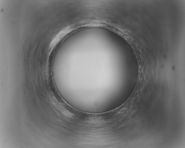 X0000052980296200507221334