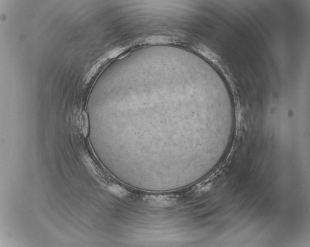 X0000052980297200507221334