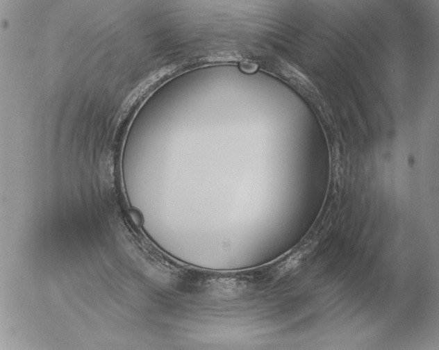 X0000052980298200507221334