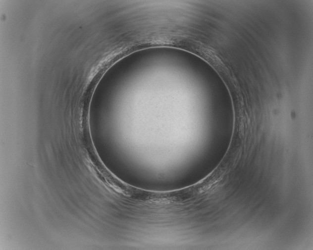 X0000052980299200507221334